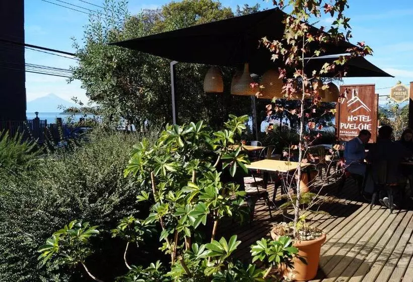 Fotos del hotel Puelche:  5