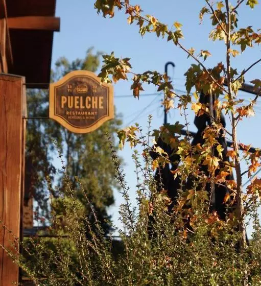 Fotos del hotel Puelche:  19