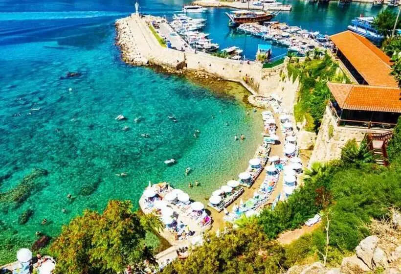 Fotos del hotel Ninova:  4