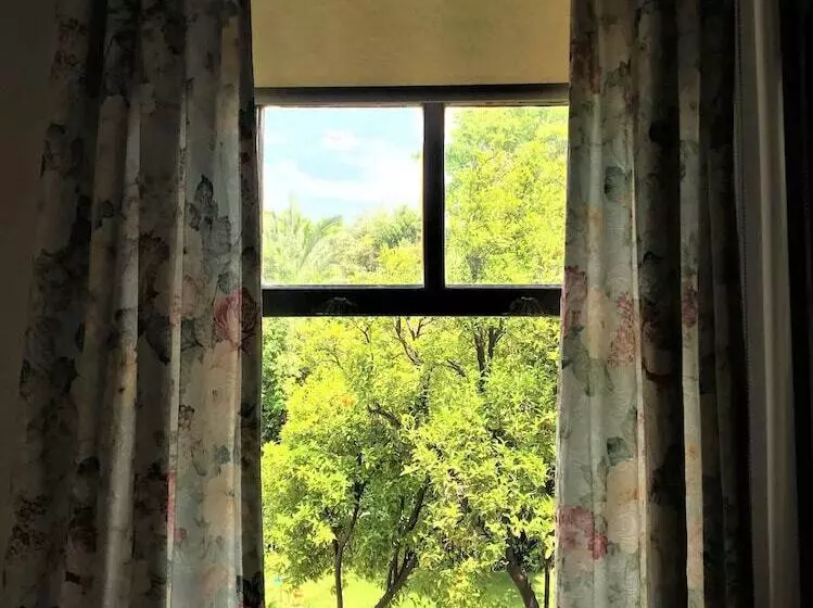 Fotos del hotel Ninova:  13