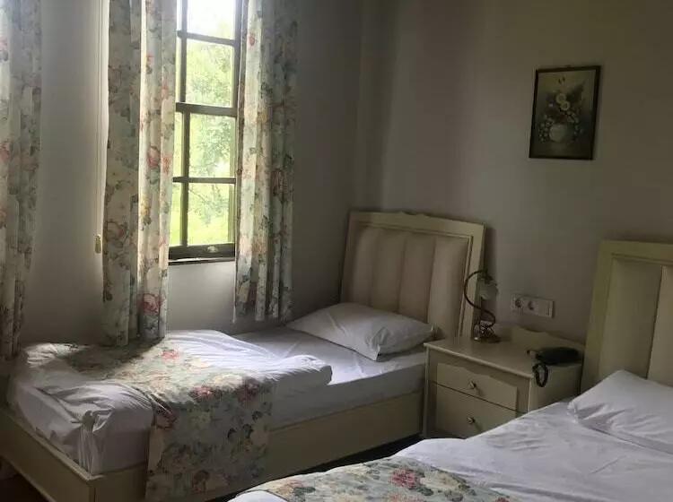 Fotos del hotel Ninova:  16