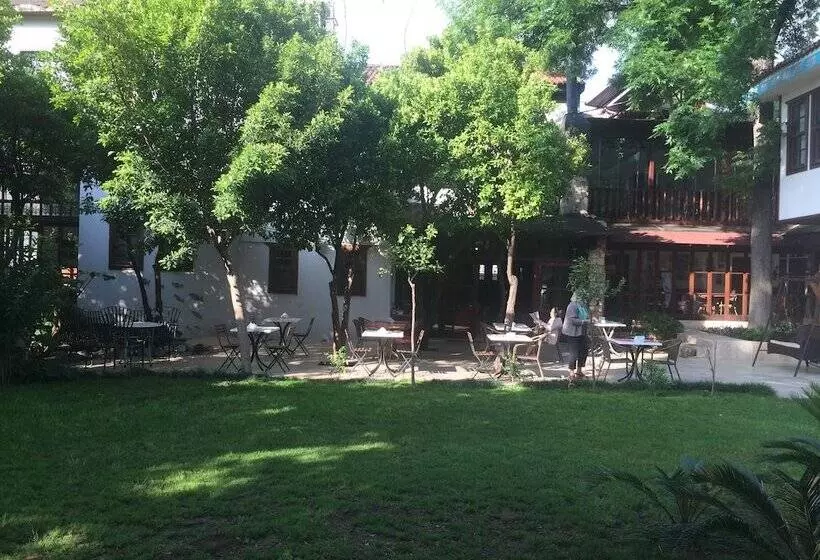 Fotos del hotel Ninova:  25