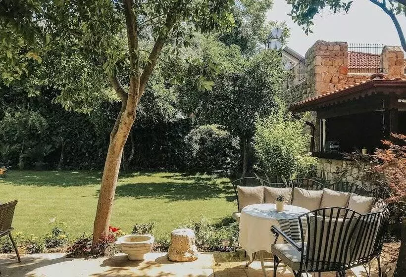 Fotos del hotel Ninova:  19