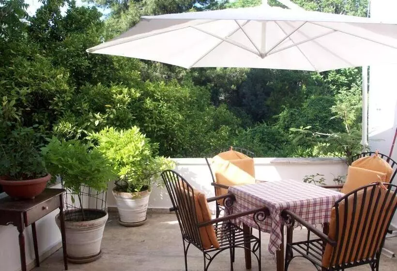 Fotos del hotel Ninova:  2