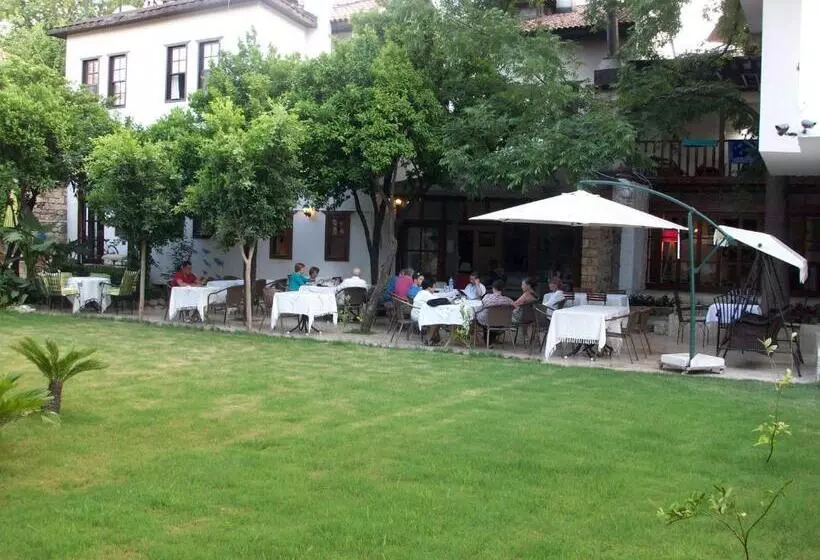 Fotos del hotel Ninova:  21