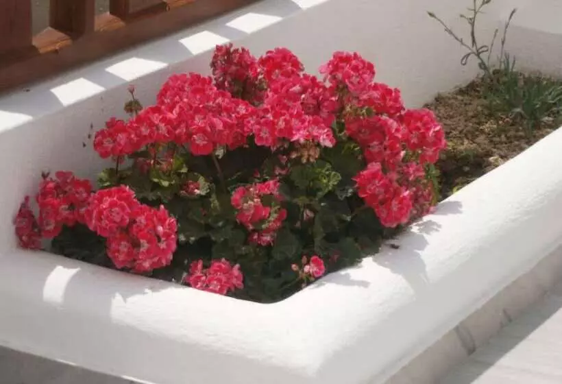 Fotos del hotel Villa Voula:  6