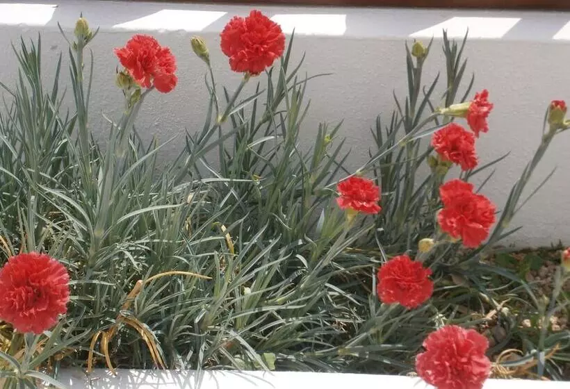 Fotos del hotel Villa Voula:  10