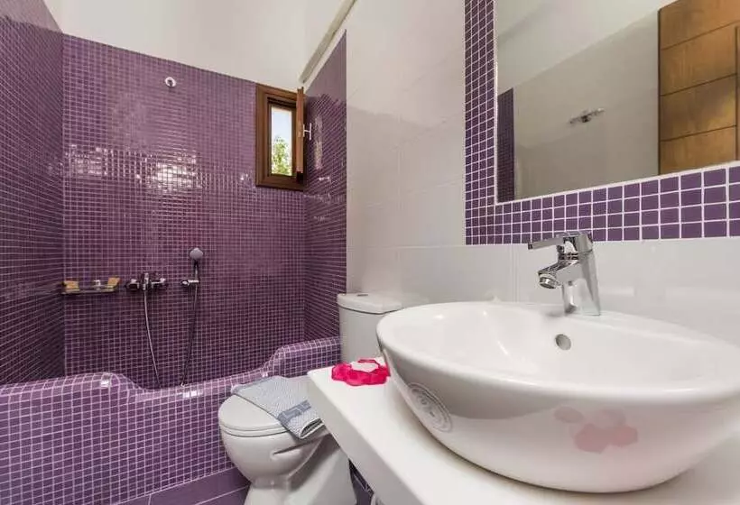 Fotos del hotel Villa Voula:  13