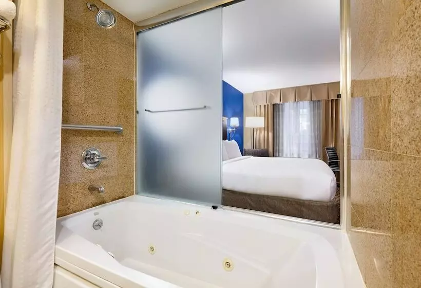 Fotos del hotel Holiday Inn Express New York City Chelsea, An Ihg:  6