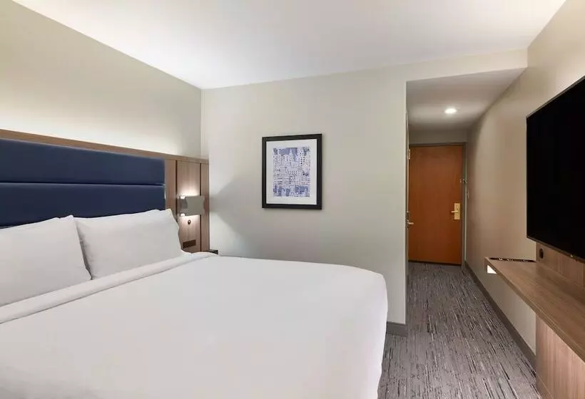 Fotos del hotel Holiday Inn Express New York City Chelsea, An Ihg:  1