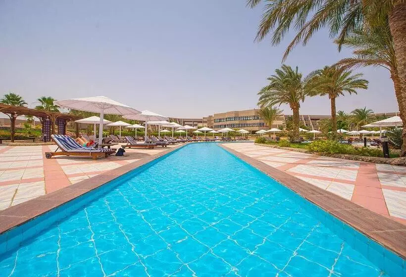 Fotos del hotel Pharaoh Azur Resort:  10