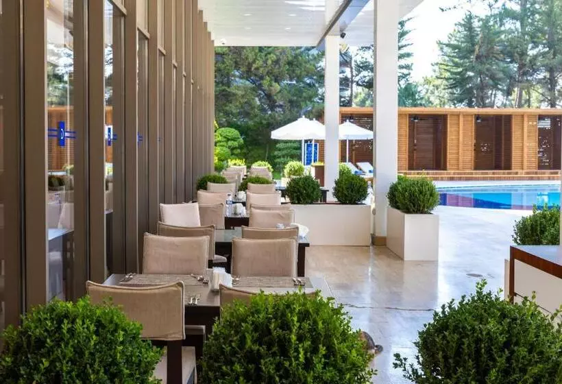 Fotos del hotel OZ Hotels Antalya Resort & Spa - Adults Only +16:  15