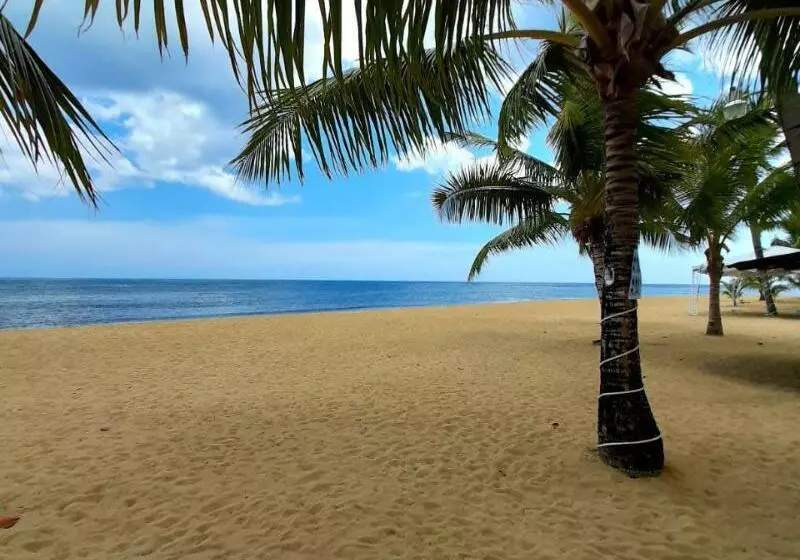 Fotos del hotel Playa Colibri:  15