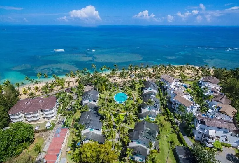 Fotos del hotel Playa Colibri:  17