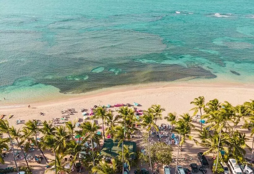 Fotos del hotel Playa Colibri:  19