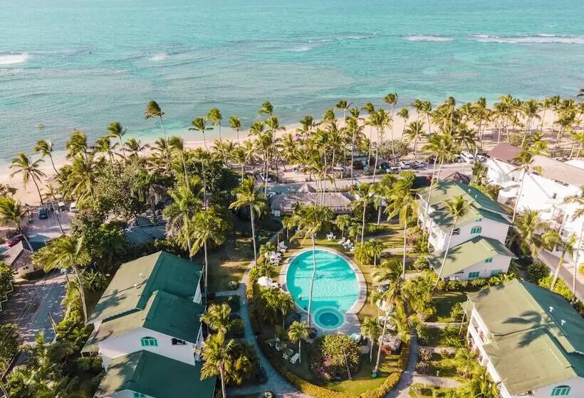 Fotos del hotel Playa Colibri:  21