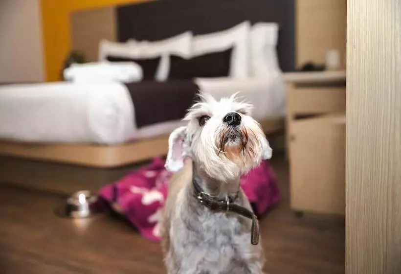 Fotos del hotel Plaza Poblana:  8