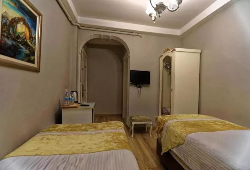 Fotos del hotel Romantic Hotel Istanbul:  14