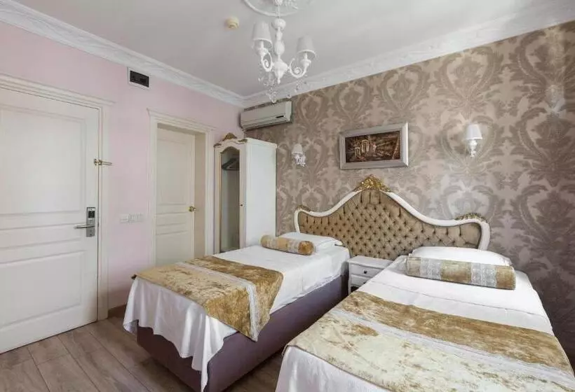 Fotos del hotel Romantic Hotel Istanbul:  23