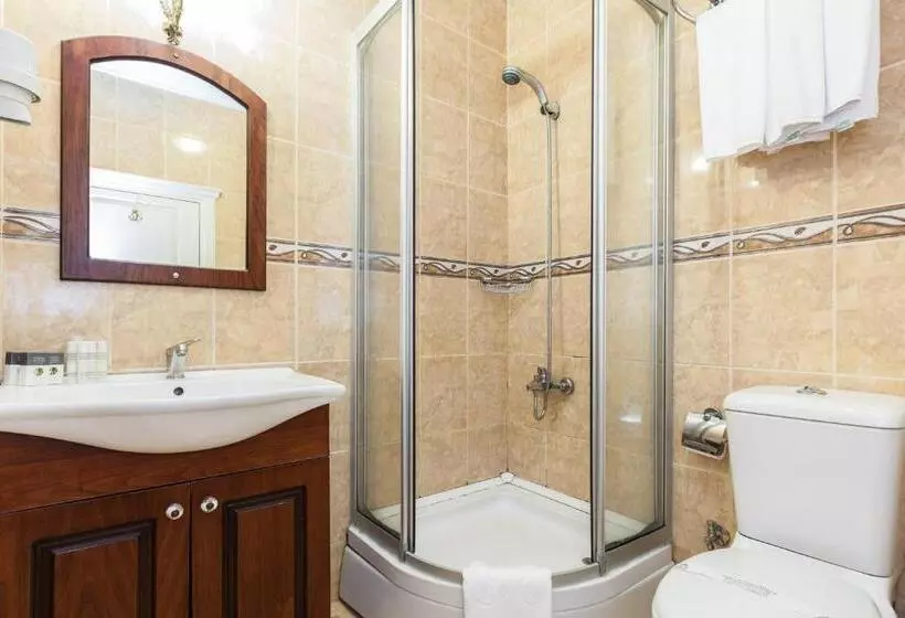 Fotos del hotel Romantic Hotel Istanbul:  6