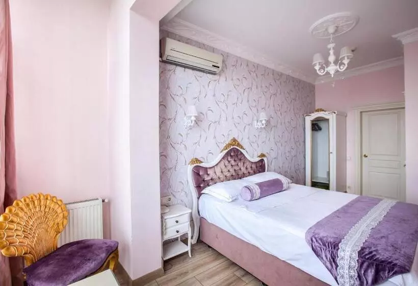Fotos del hotel Romantic Hotel Istanbul:  25