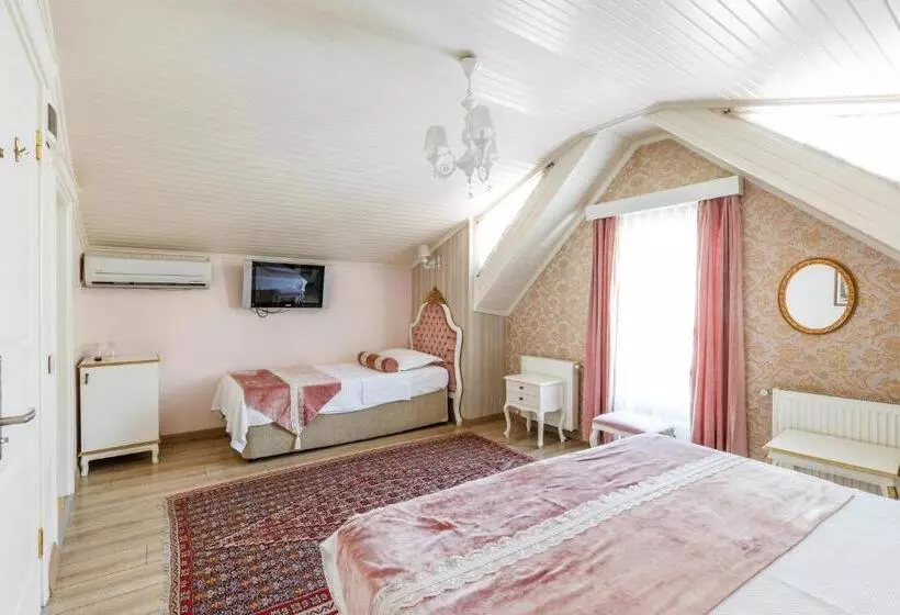 Fotos del hotel Romantic Hotel Istanbul:  20