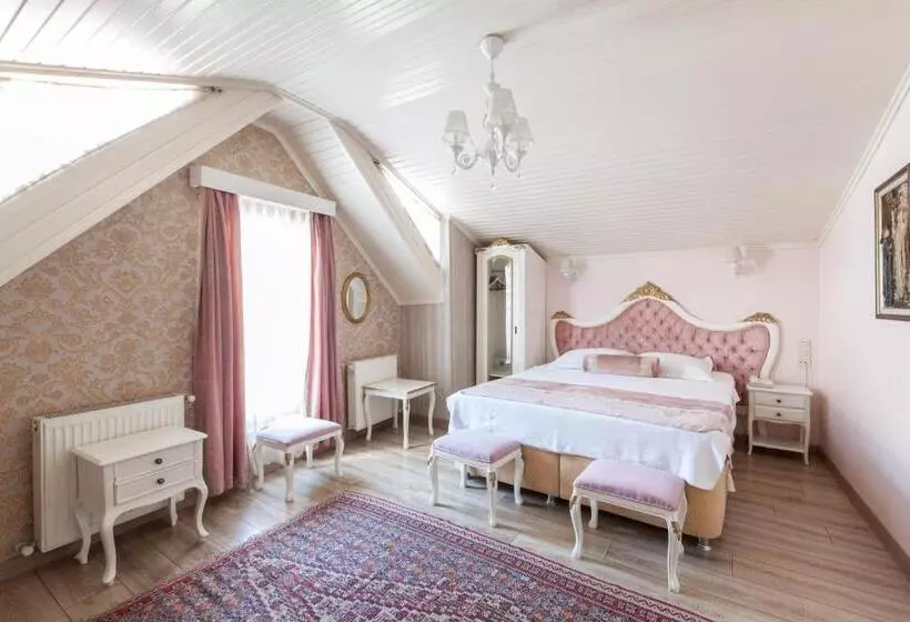 Fotos del hotel Romantic Hotel Istanbul:  7