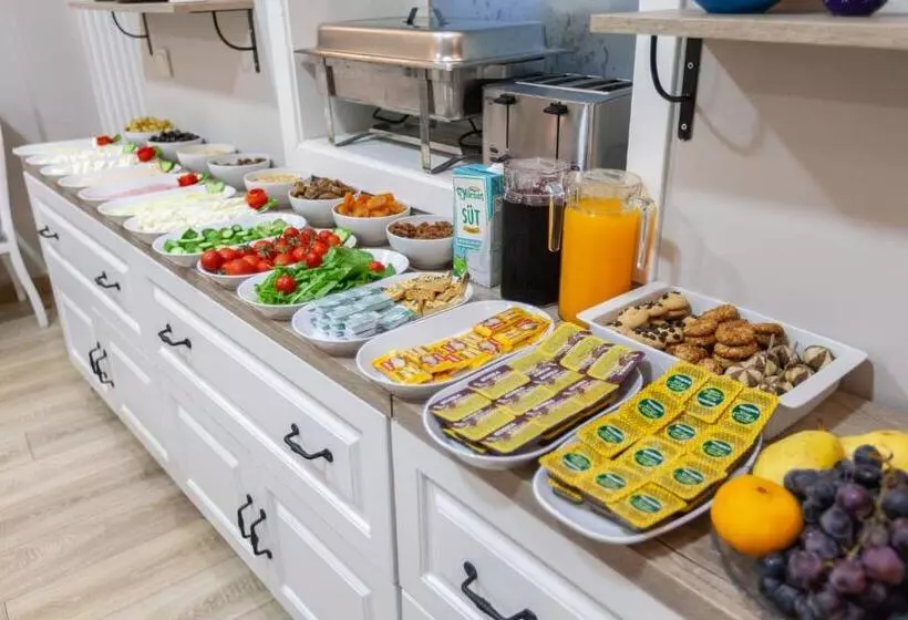 Fotos del hotel Romantic Hotel Istanbul:  3