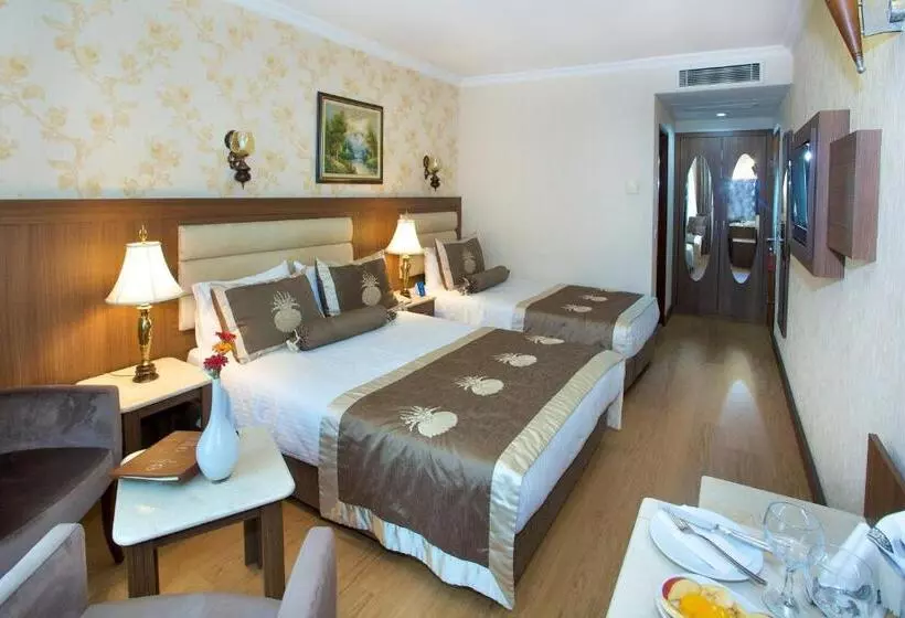 Fotos del hotel Grand Hilarium:  15