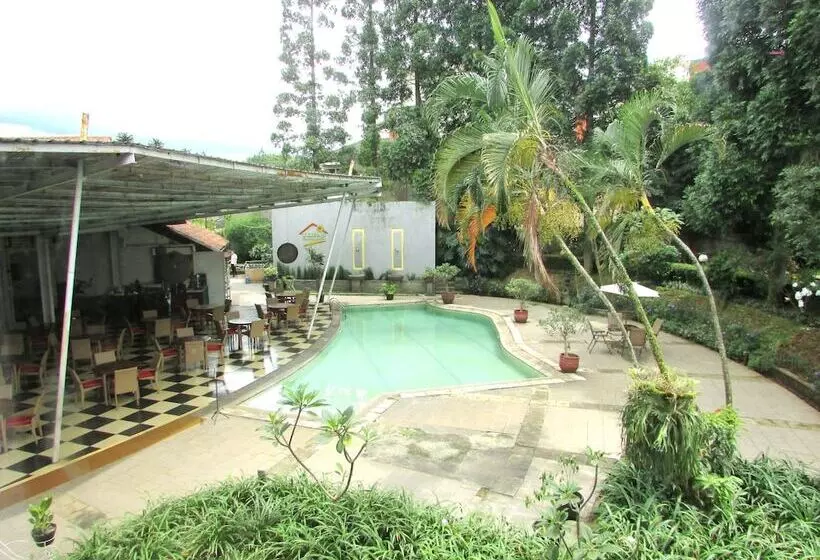 Fotos del hotel Topas Galeria:  2