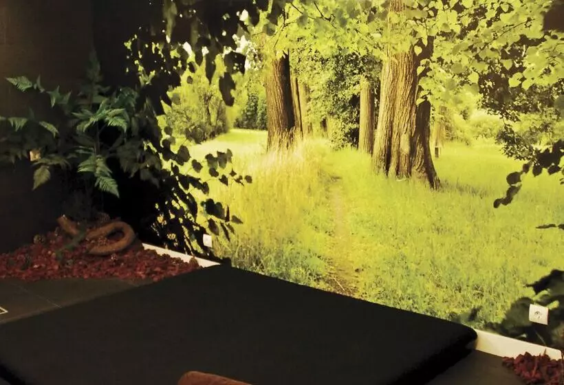 Fotos del hotel Melia Madeira Mare:  76