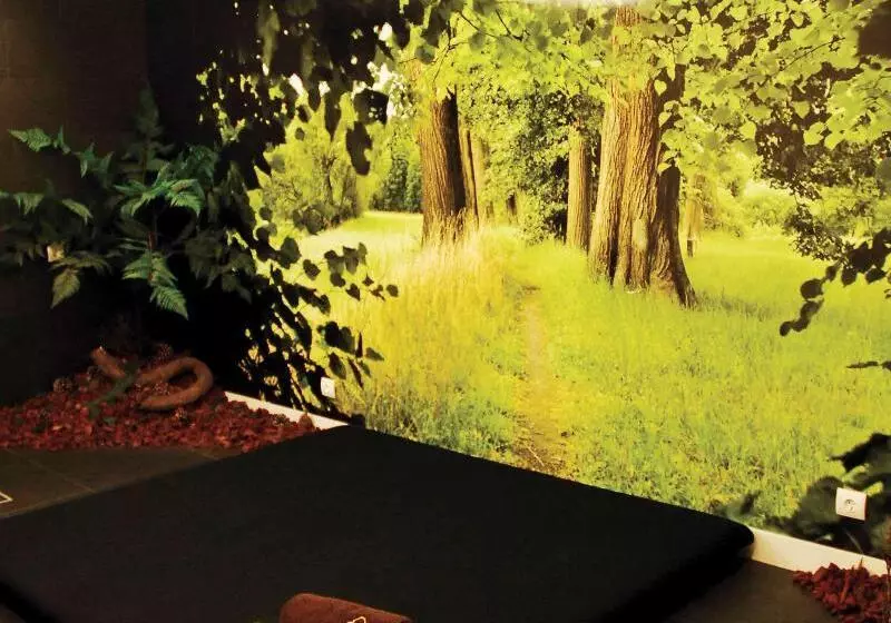 Fotos del hotel Melia Madeira Mare:  77