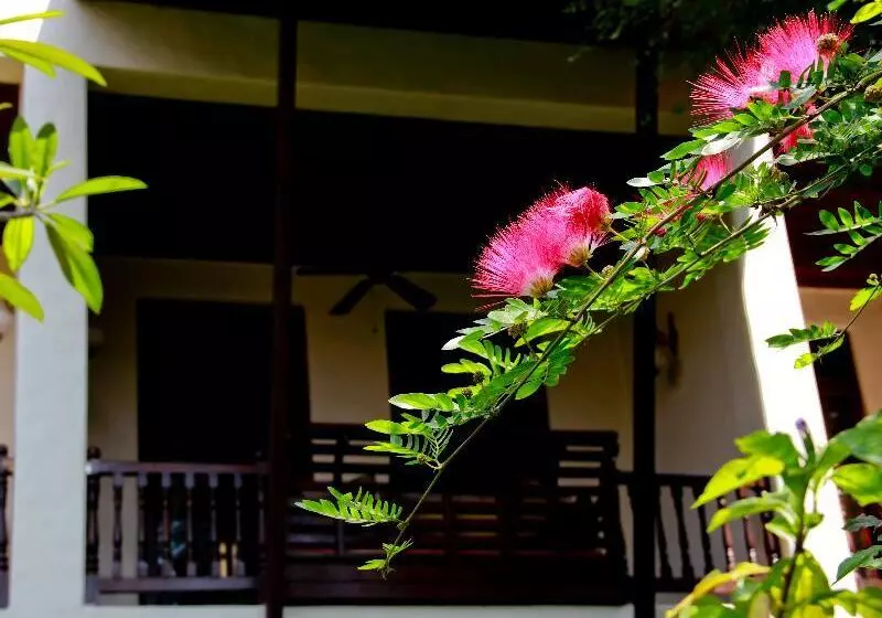 Fotos del hotel Puripunn:  18