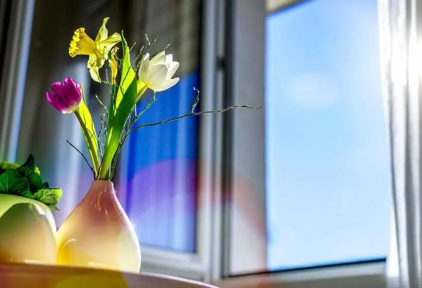 Fotos del hotel Stoiser Graz:  17