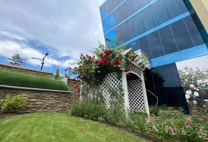 Fotos del hotel Sunset Hotel Sunny Beach:  12