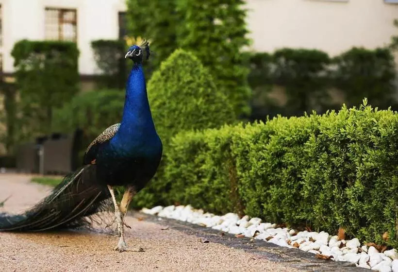 Fotos del hotel The Grand Mark Prague - The Leading Hotels Of The World:  23