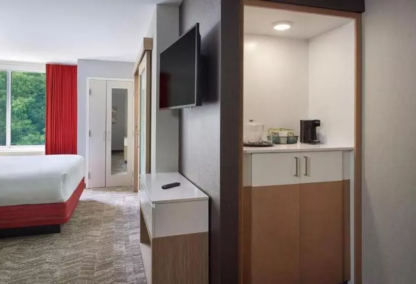 Fotos del hotel Springhill Suites By Marriott Atlanta Northwest:  9
