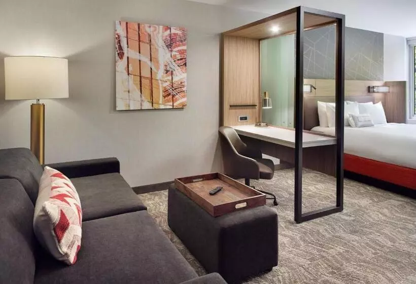 Fotos del hotel Springhill Suites By Marriott Atlanta Northwest:  14