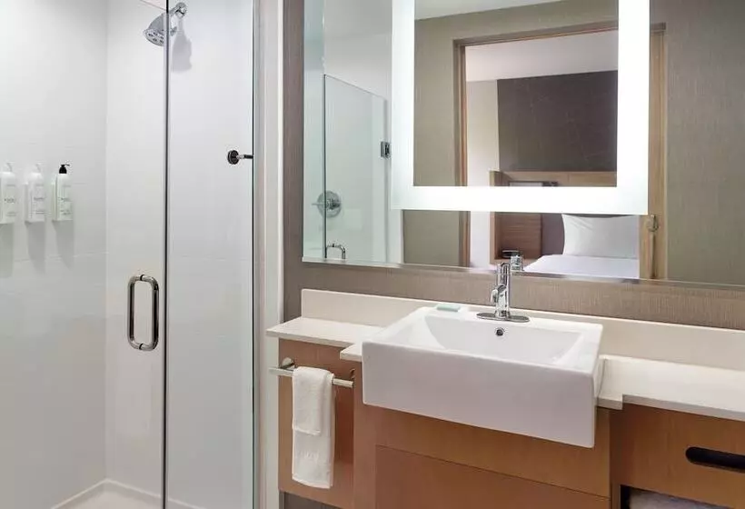 Fotos del hotel Springhill Suites By Marriott Atlanta Northwest:  22