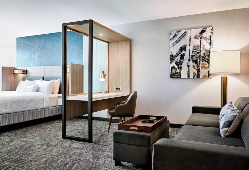 Fotos del hotel Springhill Suites By Marriott Atlanta Northwest:  4