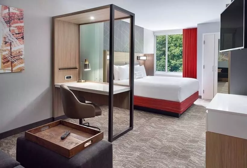 Fotos del hotel Springhill Suites By Marriott Atlanta Northwest:  16