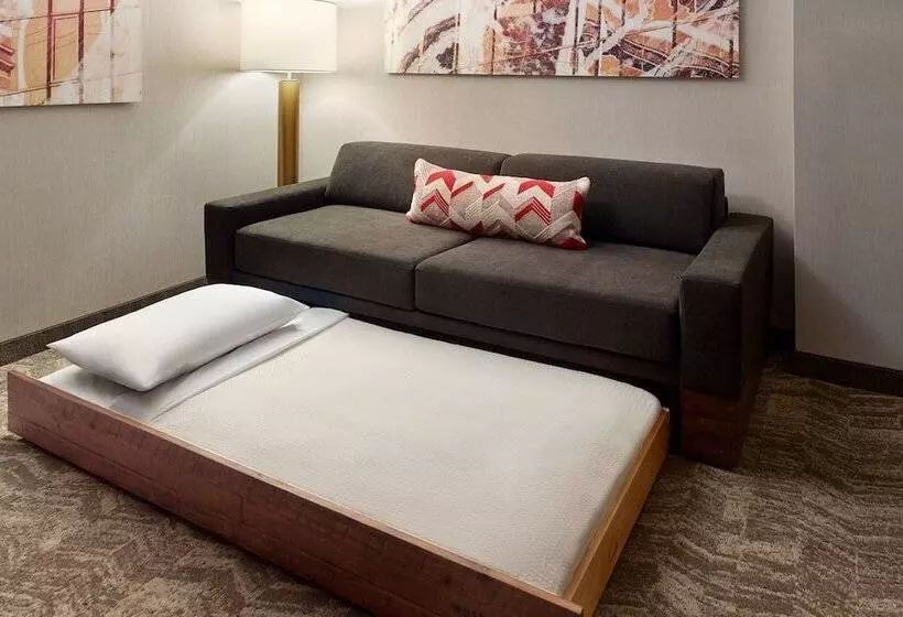Fotos del hotel Springhill Suites By Marriott Atlanta Northwest:  6