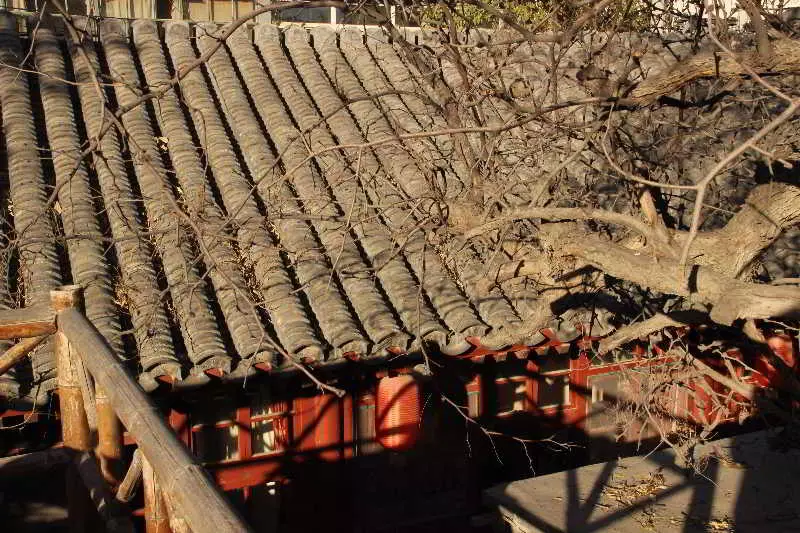 Fotos del hotel Beijing Templeside Hutong Guesthouse:  10