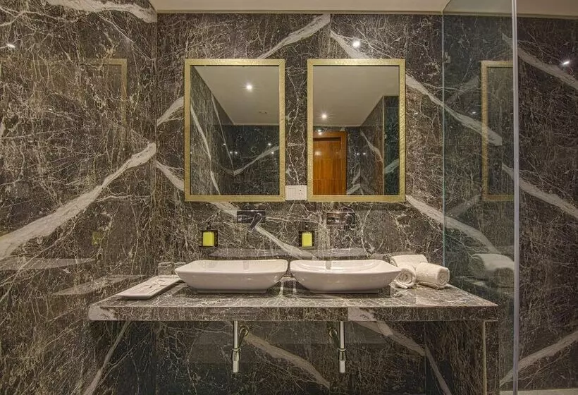 Fotos del hotel Sarovar Portico Indore:  10