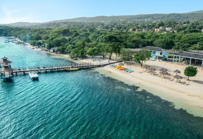 Fotos del hotel Iberostar Rose Hall Beach:  34