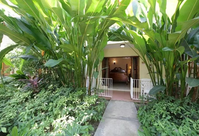 Fotos del hotel Negril Palms:  20