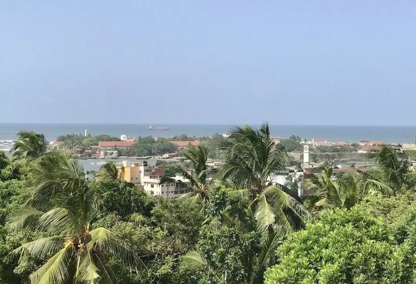 Fotos del hotel The Lady Hill:  20