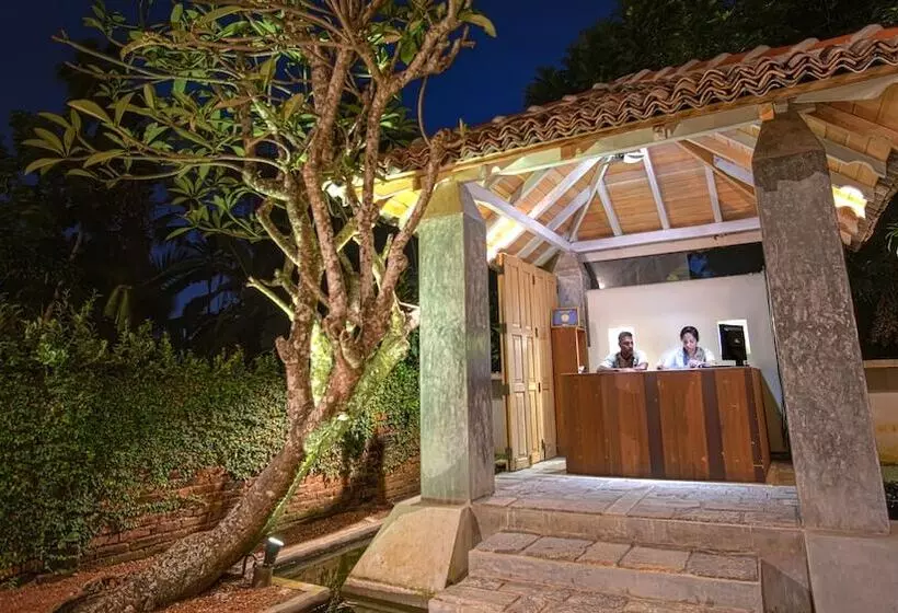 Fotos del hotel The Lady Hill:  25