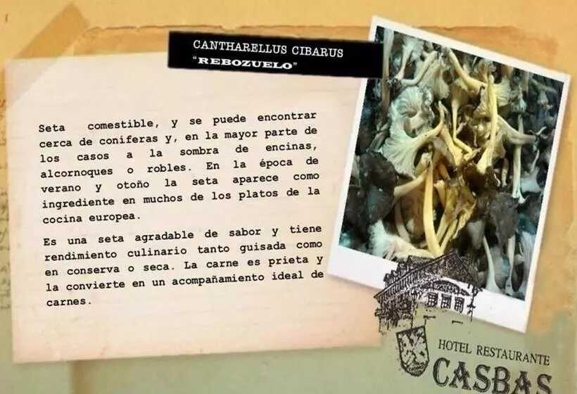 Fotos del hotel Casbas:  4