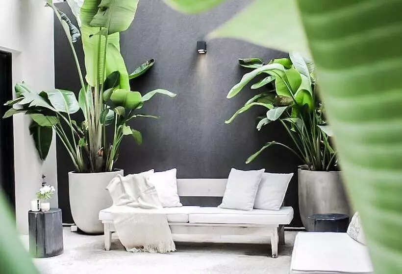 Fotos del hotel Krista Boutique:  21